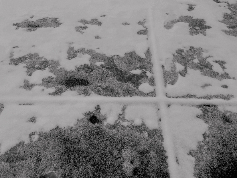 刘勇良手机纪实摄影:北京雪后的风景之水墨篇