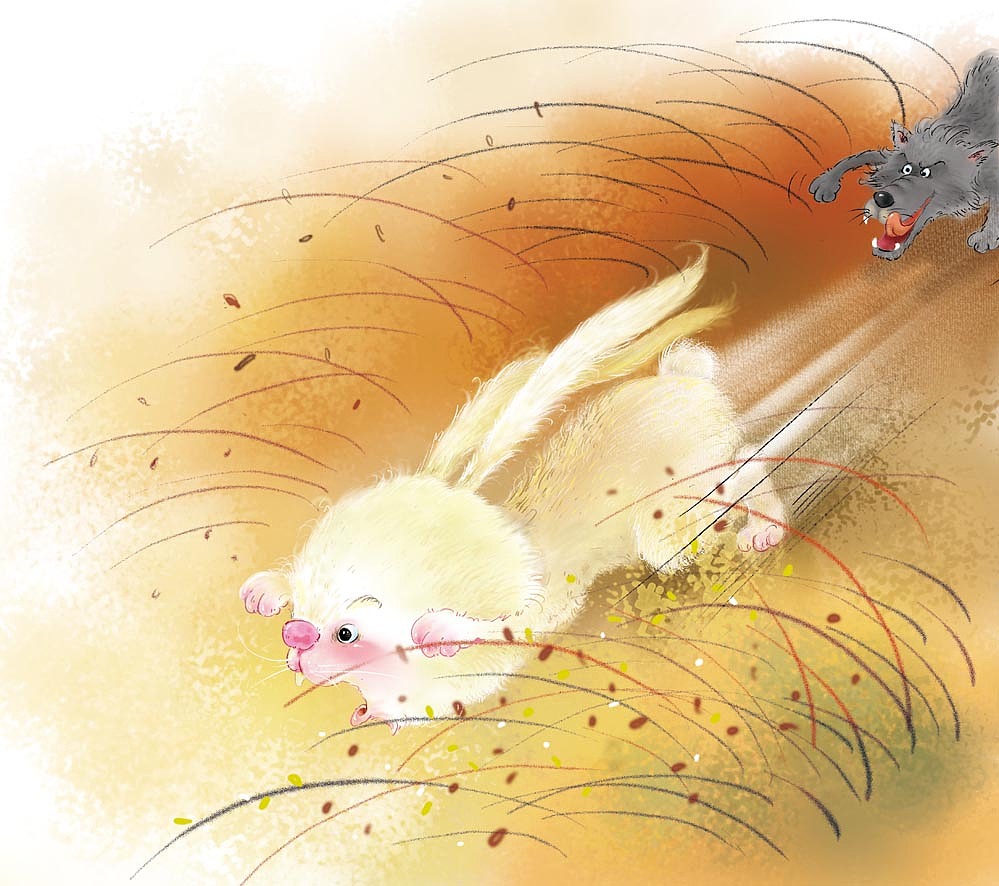 绘本《大口袋》