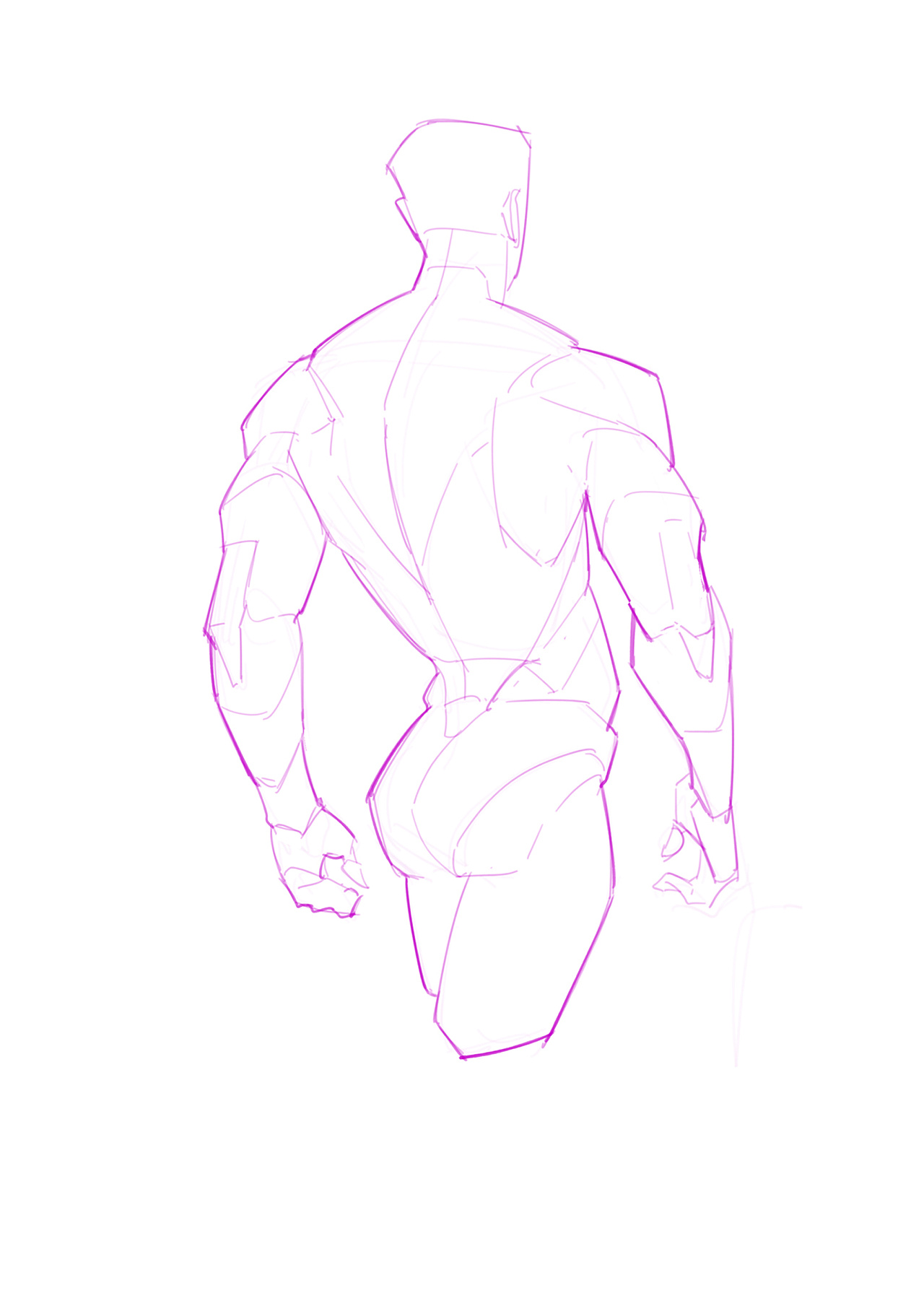 男性躯干怎么画?分享一组素材