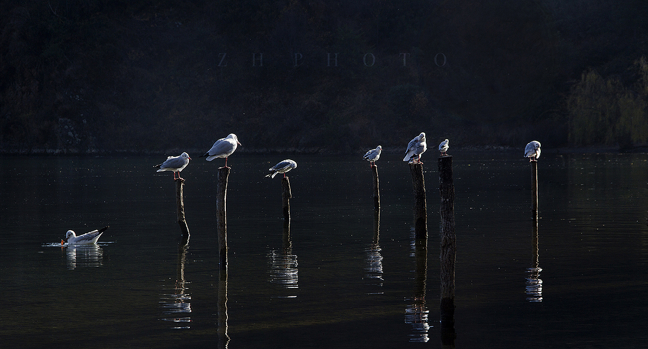 那一年的泸沽湖