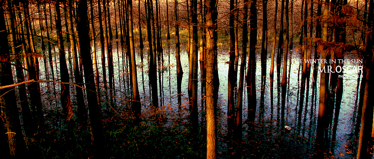 拍点什么好（图ZMjA0ODU0MA==） - 人文/纪实摄影 - 站酷设计师oscarzhan原创素材 - 站酷ZCOOL