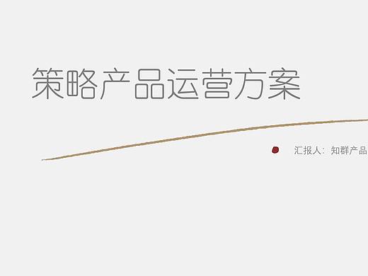 策略产品运营方案