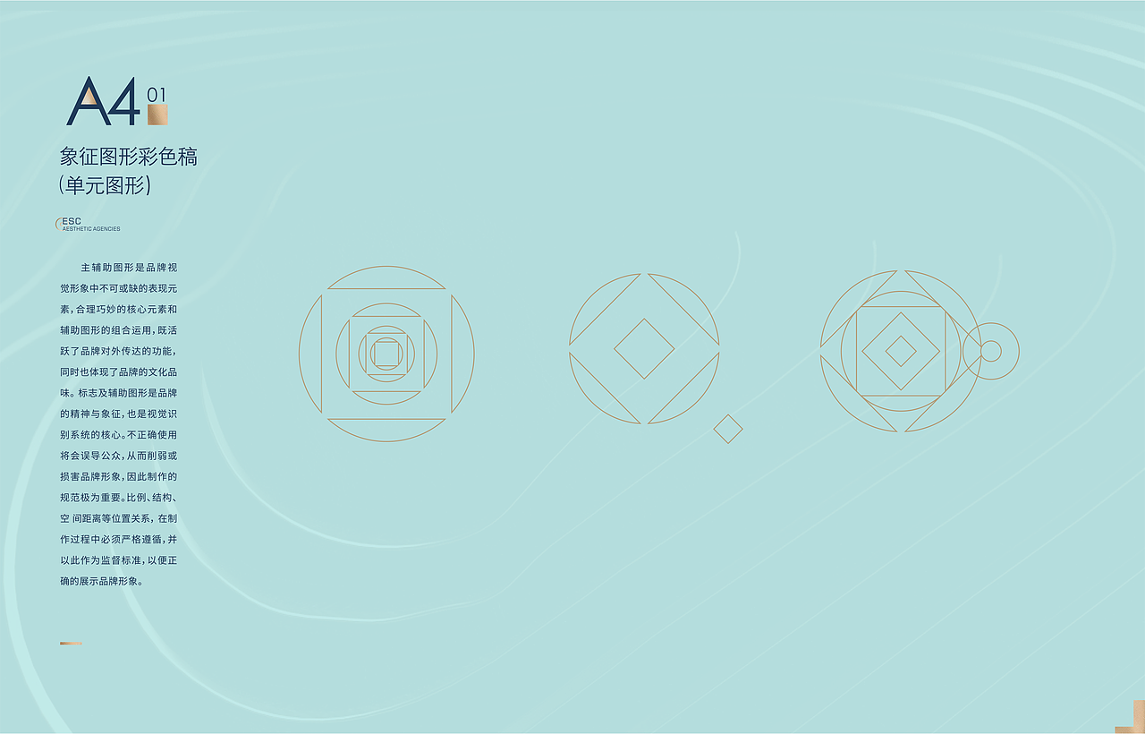 esc美学服务机构VIS