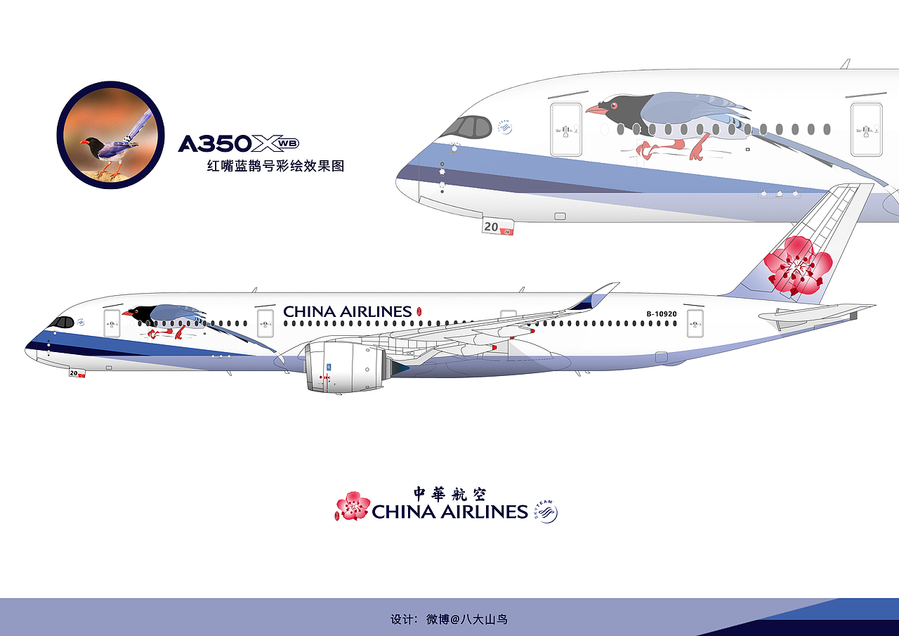中华航空a350900红嘴蓝鹊涂装