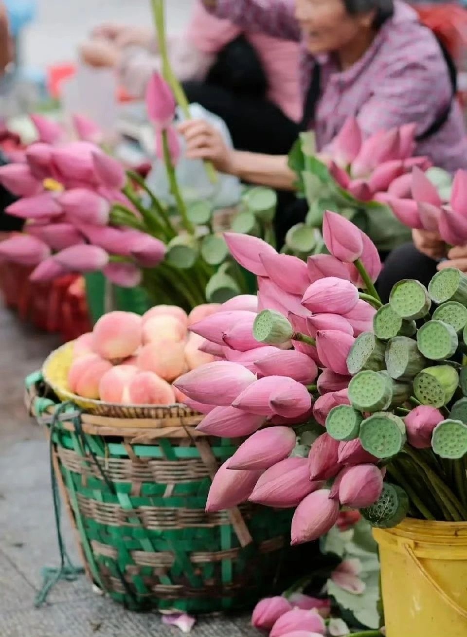浓茶淡雅总相宜…