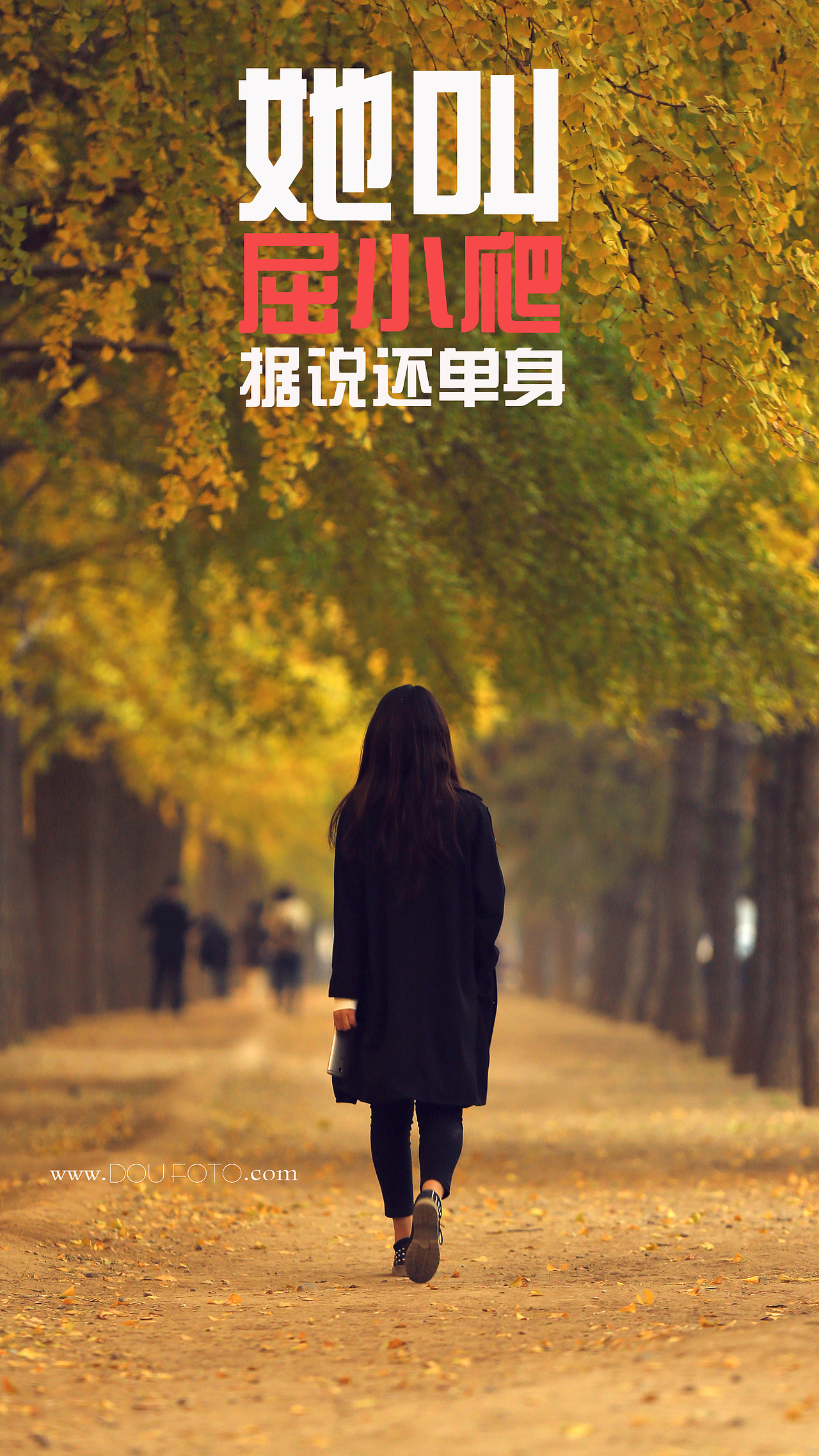 又一秋，银杏大道。（图ZMzY0MTMwNDg=） - 人像摄影 - 站酷设计师bobofoto原创素材 - 站酷ZCOOL