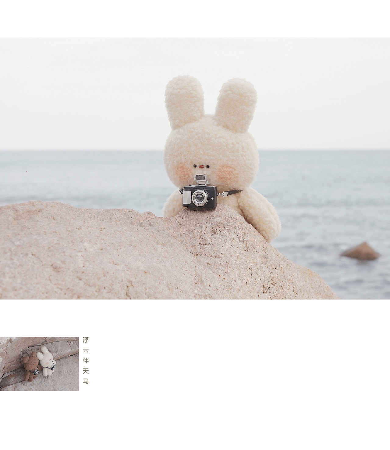 亲爱的布偶 / 青岛