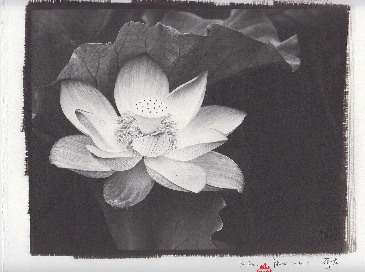 【古典印相】铁银法