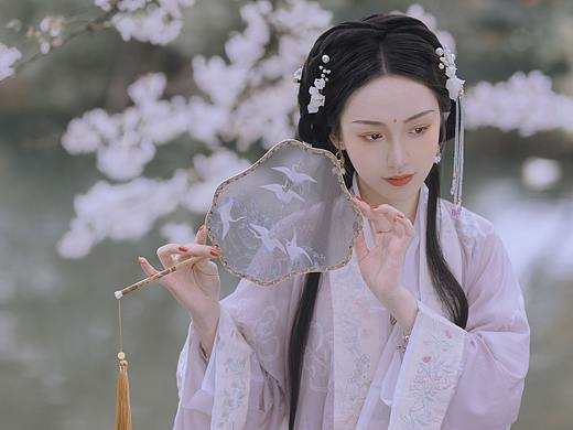 樱花落