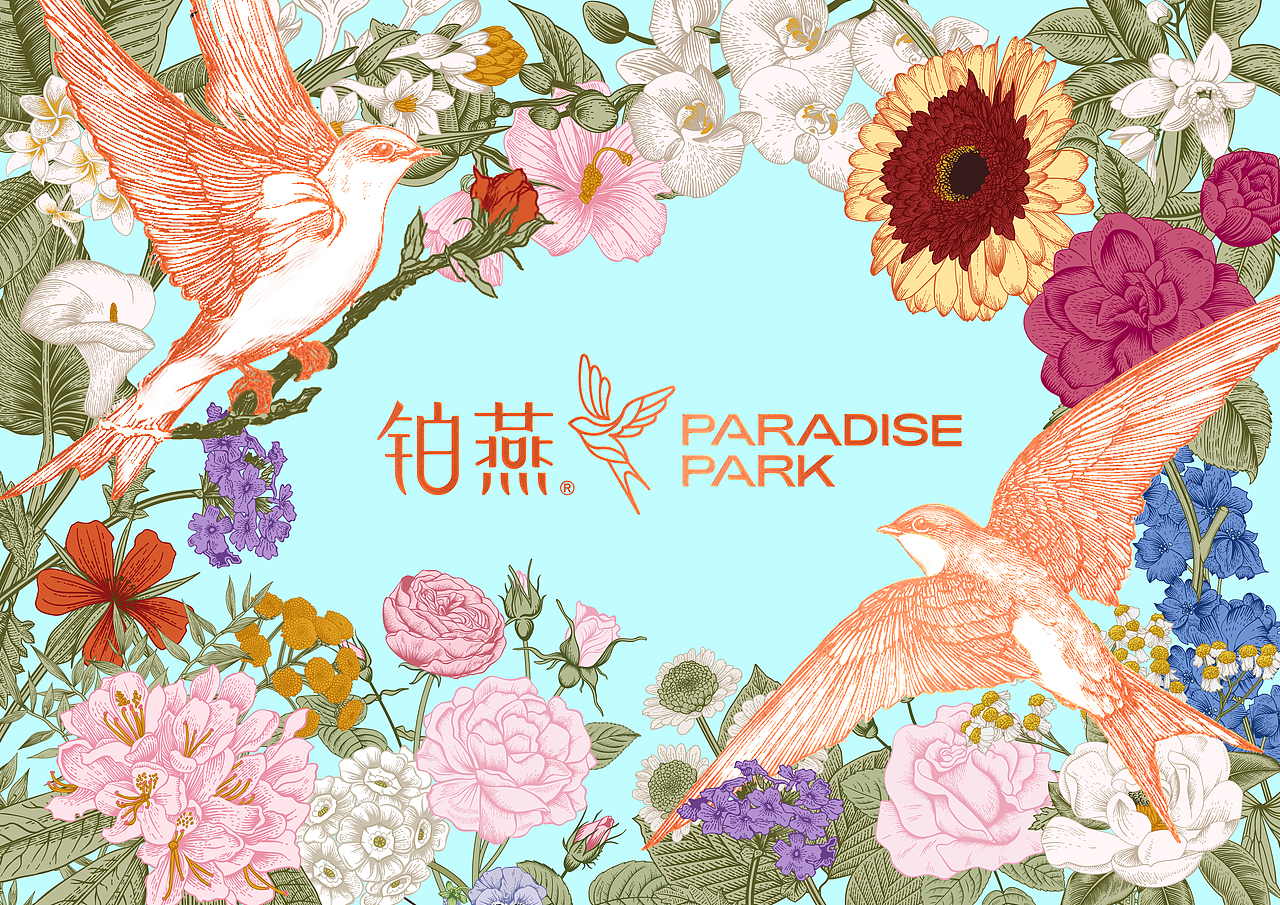 我用设计来让你貌美如花|铂燕 燕窝