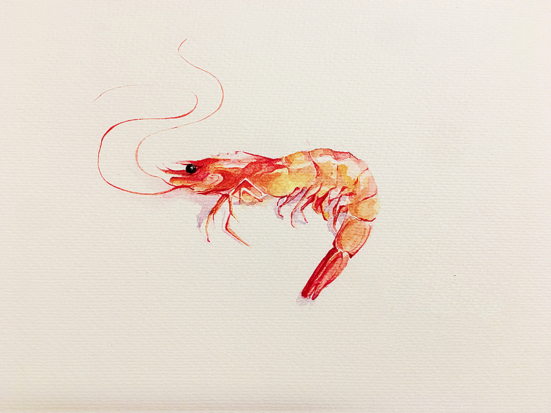 手繪（圖ZMTY0MDc4ODQw） - 其他 - 站酷設(shè)計師韓承羲原創(chuàng)素材 - 站酷ZCOOL