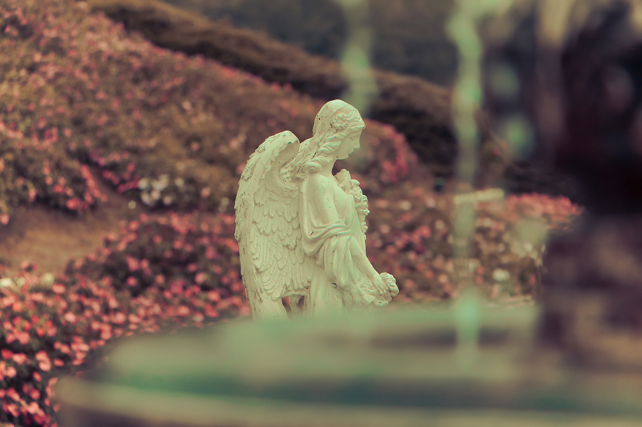 摄影 | 承春宠（图ZMTE3MTQyMDg0） - 其他摄影 - 站酷设计师云物深原创素材 - 站酷ZCOOL