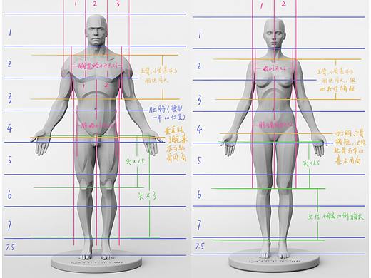 初学绘画如何画好人体？绘画人体步骤