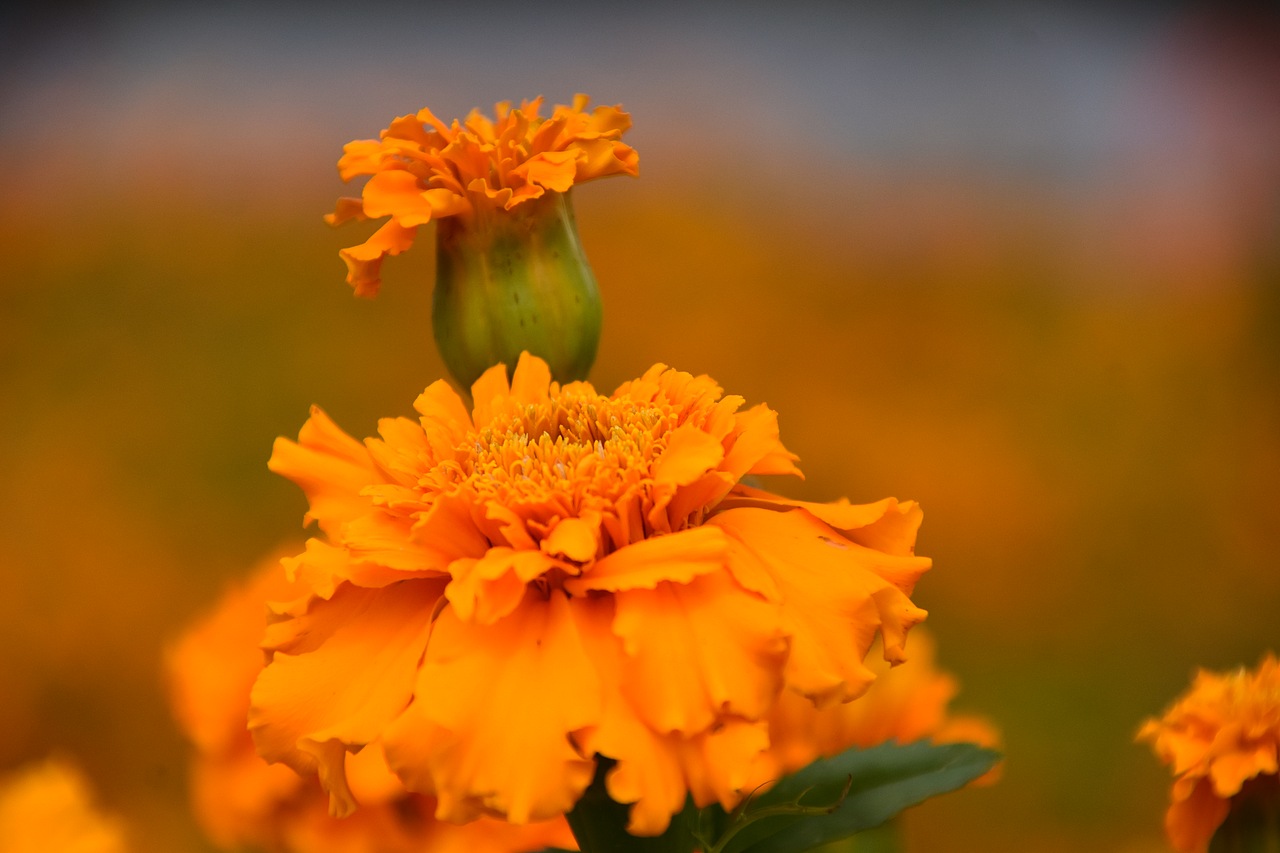 廣州·油畫寫生系列