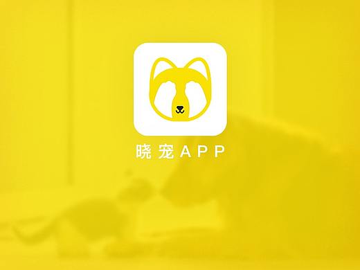 晓宠APP