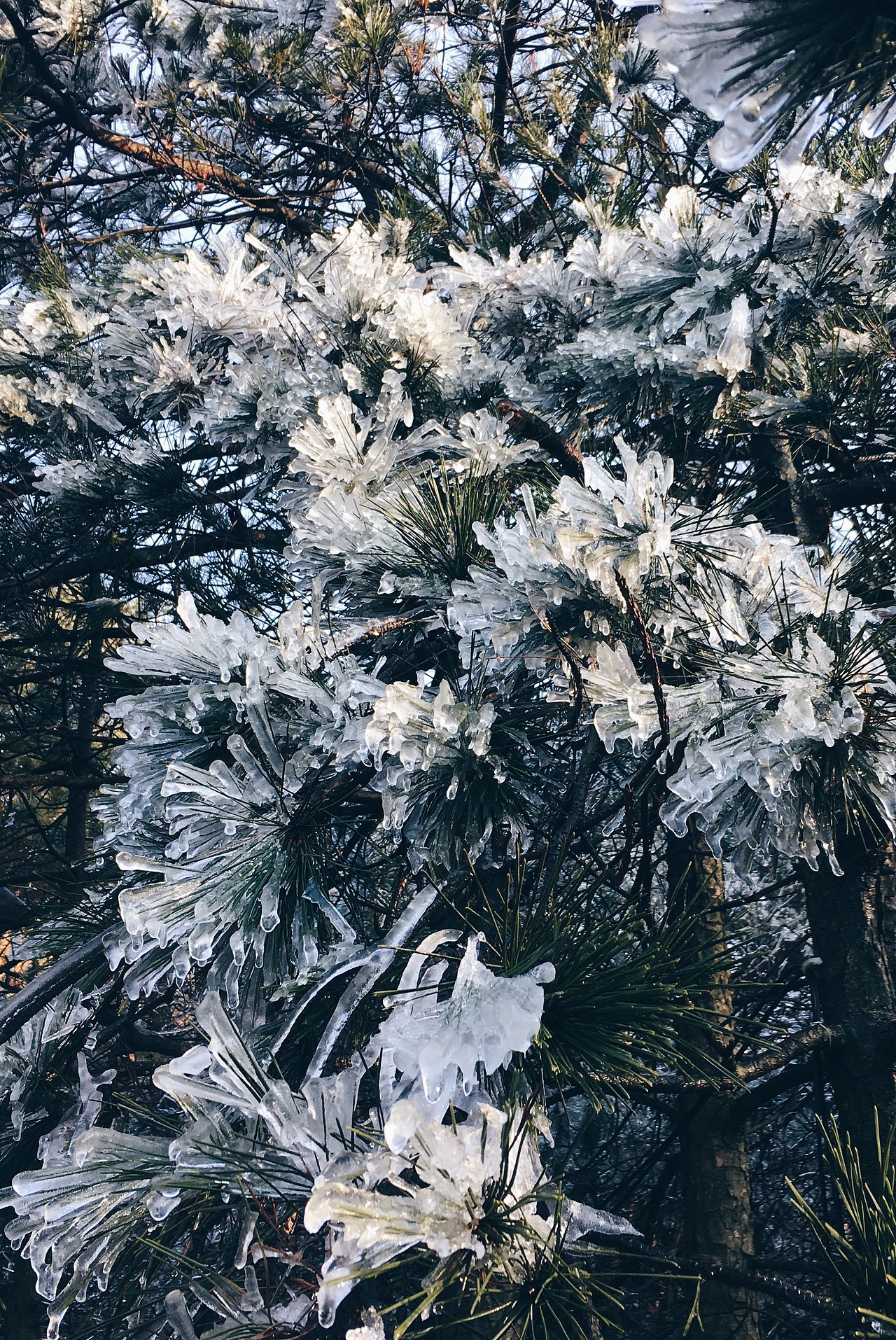 近几年一些旅行皂片(上)