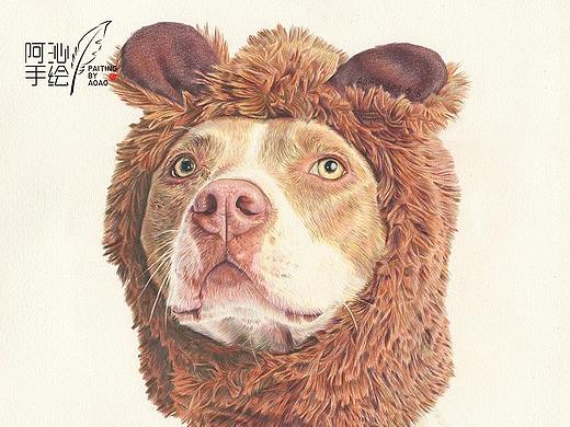 彩铅画比特犬-阿沁作品