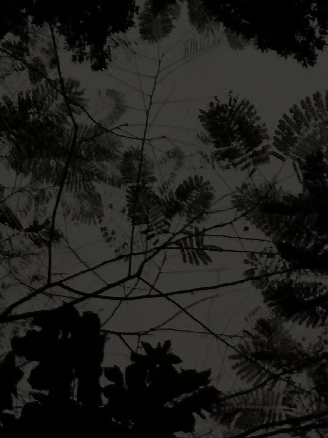 《寒》（图ZMTk1Njg0Njcy） - 人文/纪实摄影 - 站酷设计师南有江南原创素材 - 站酷ZCOOL