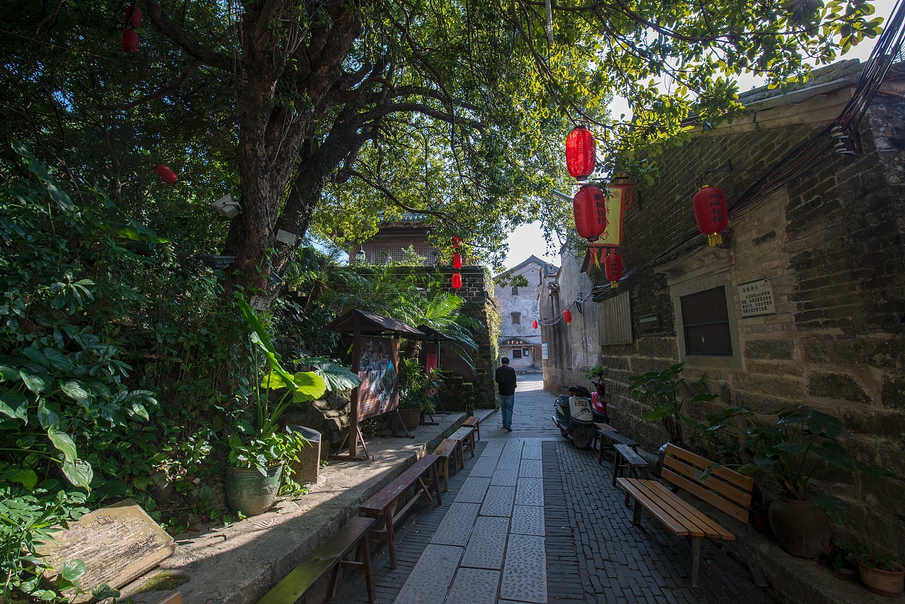 一路向东，骑行大鹏、校场尾与官湖