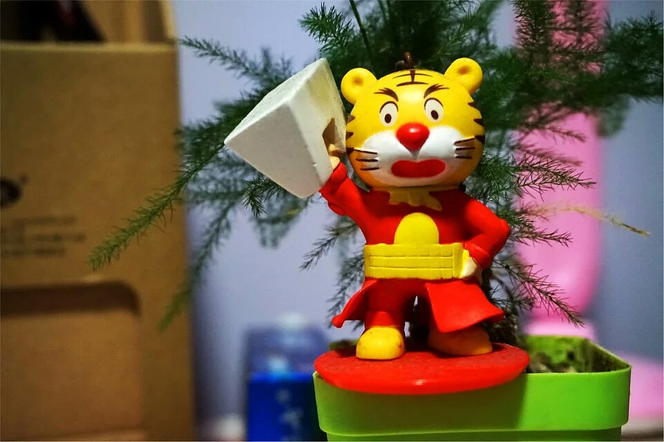 昨天拍的,索尼a5000