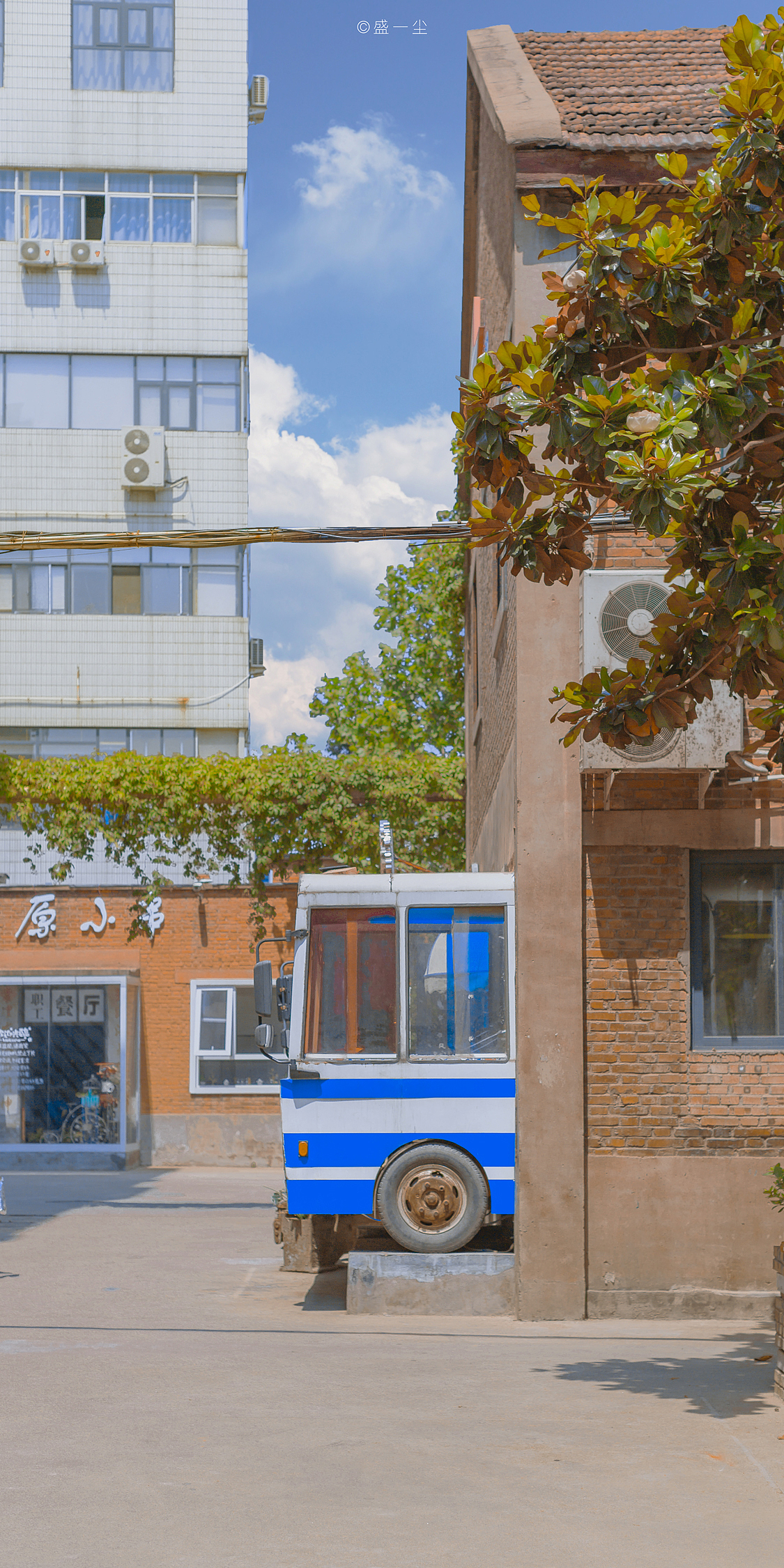 在暮色里,总有一片晚霞会经过你头上!