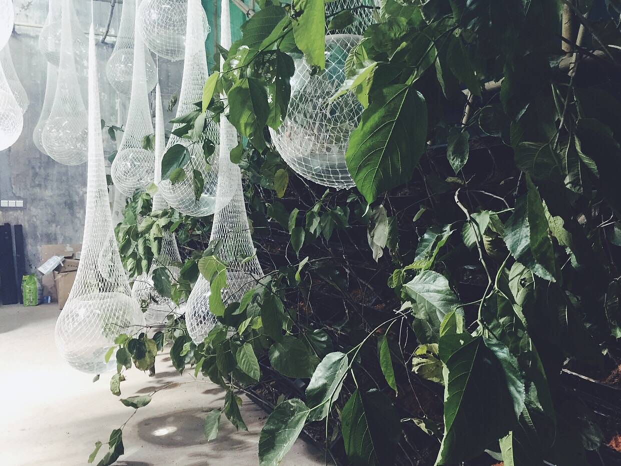 2015年深港雙年展