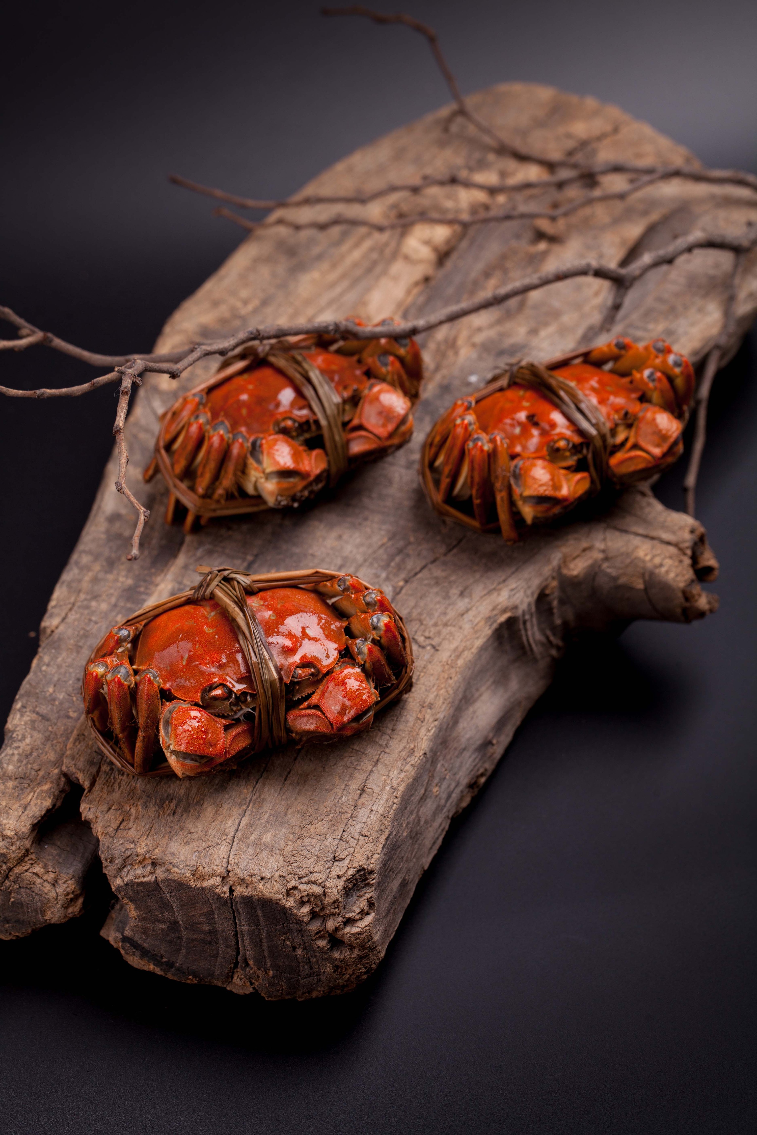 阳澄湖大闸蟹-拍摄:clapper:篇