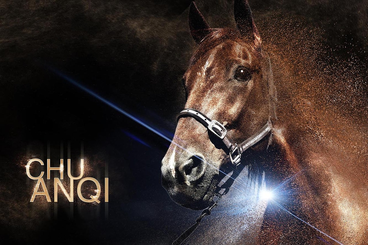 马|平面|海报|木头森林777_原创作品-站酷zcool