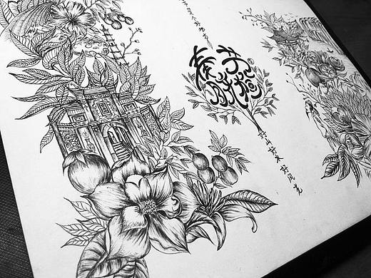 奉节脐橙