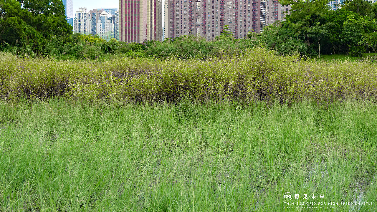莲花山踏青风景人像（图ZMjk2MDc4MDEy） - 人文/纪实摄影 - 站酷设计师摄见未来原创素材 - 站酷ZCOOL