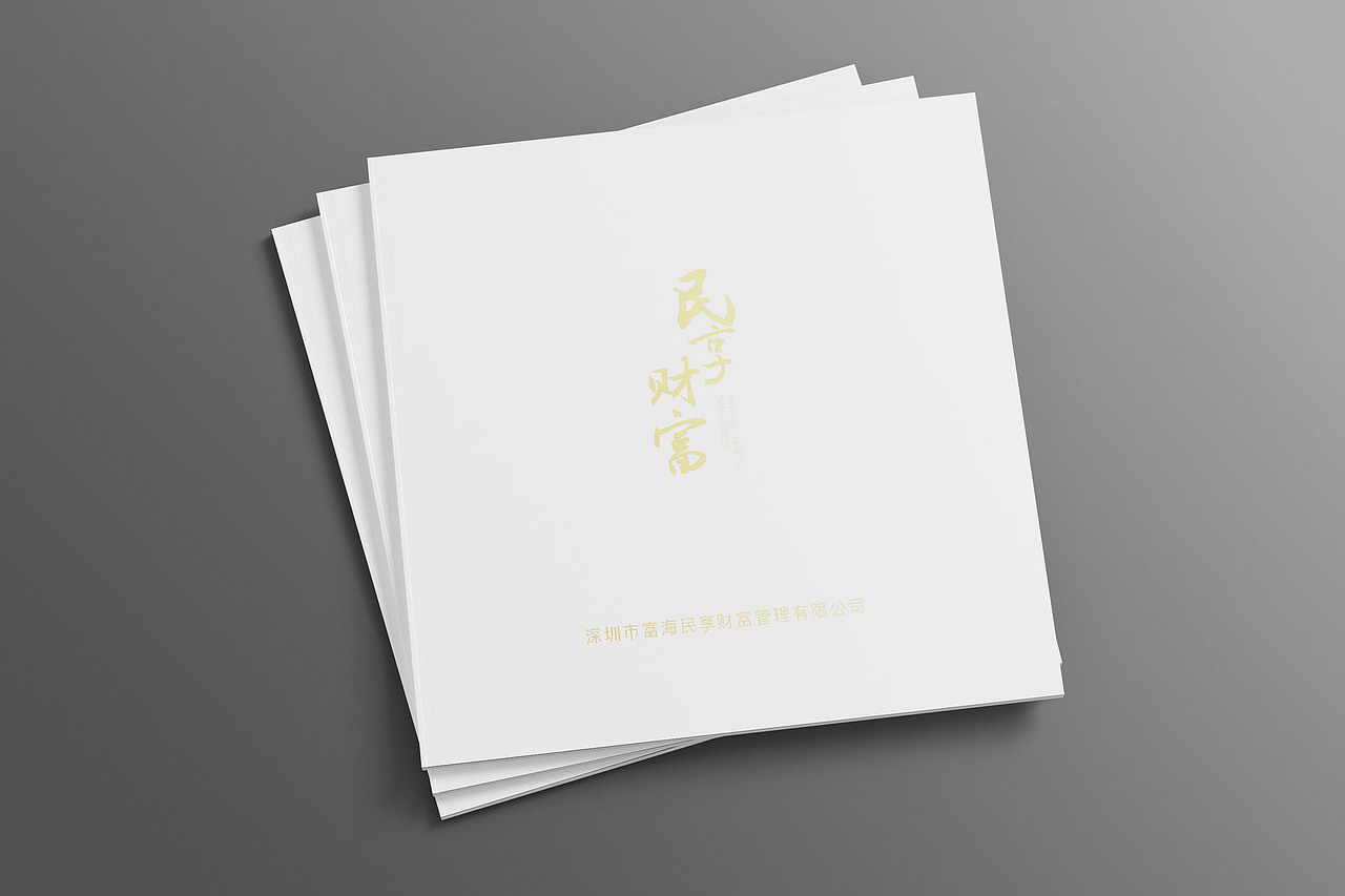 企业画册（图ZMTQ5ODAwNDE2） - 书籍/画册 - 站酷设计师虫文仔原创素材 - 站酷ZCOOL