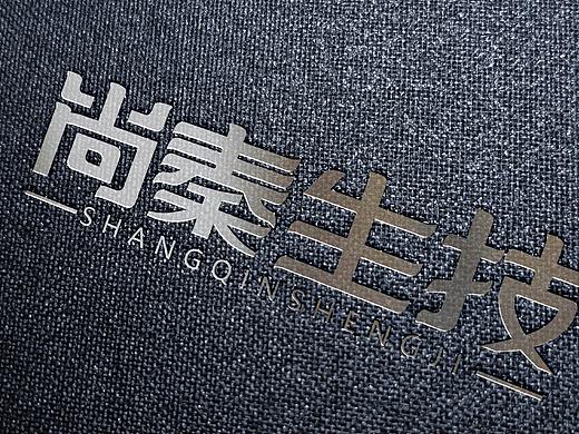 尚秦生技（个人主页-ZNTAwMDk2NDg=） - 字体/字形 - 站酷设计师晔寒原创素材 - 站酷ZCOOL