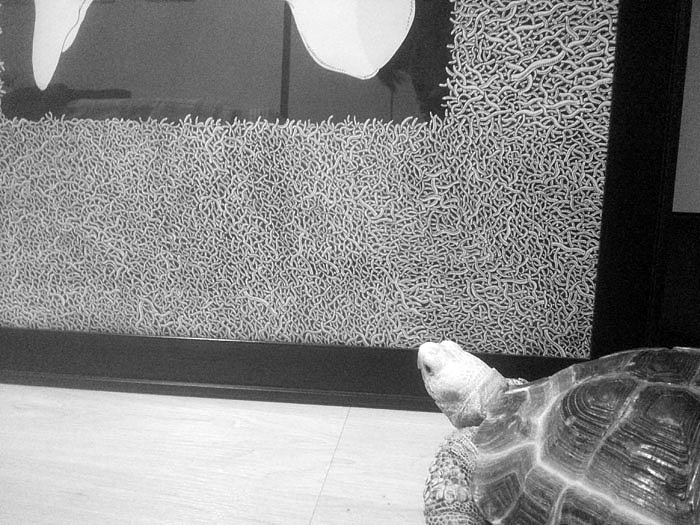 109个小时,两开《禁锢》全记录（图ZMTQxMDc4Njg=） - 新锐潮流插画 - 站酷设计师墩小贤原创素材 - 站酷ZCOOL