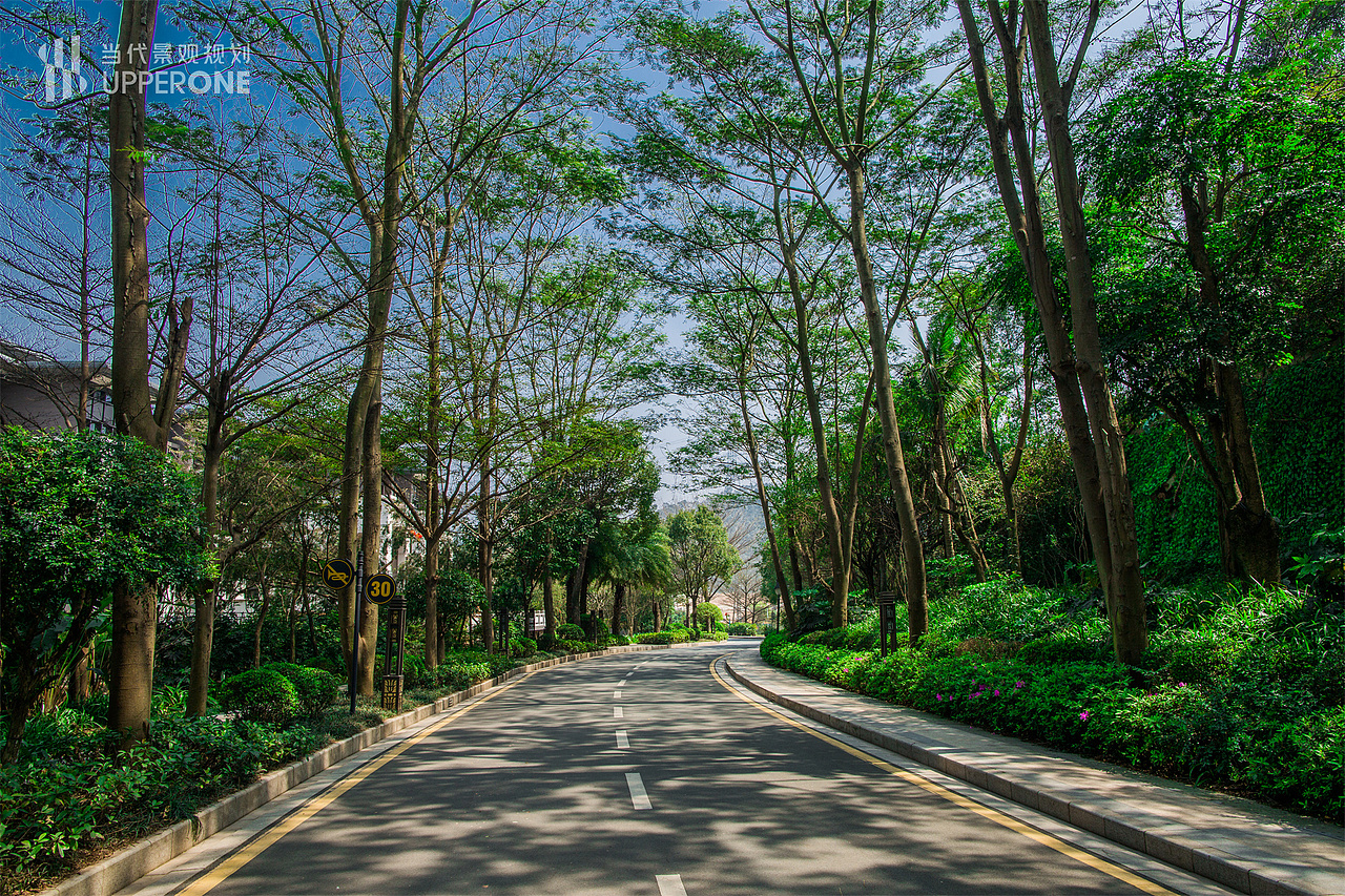 万科·棠樾【东莞】|当代景观规划设计作品