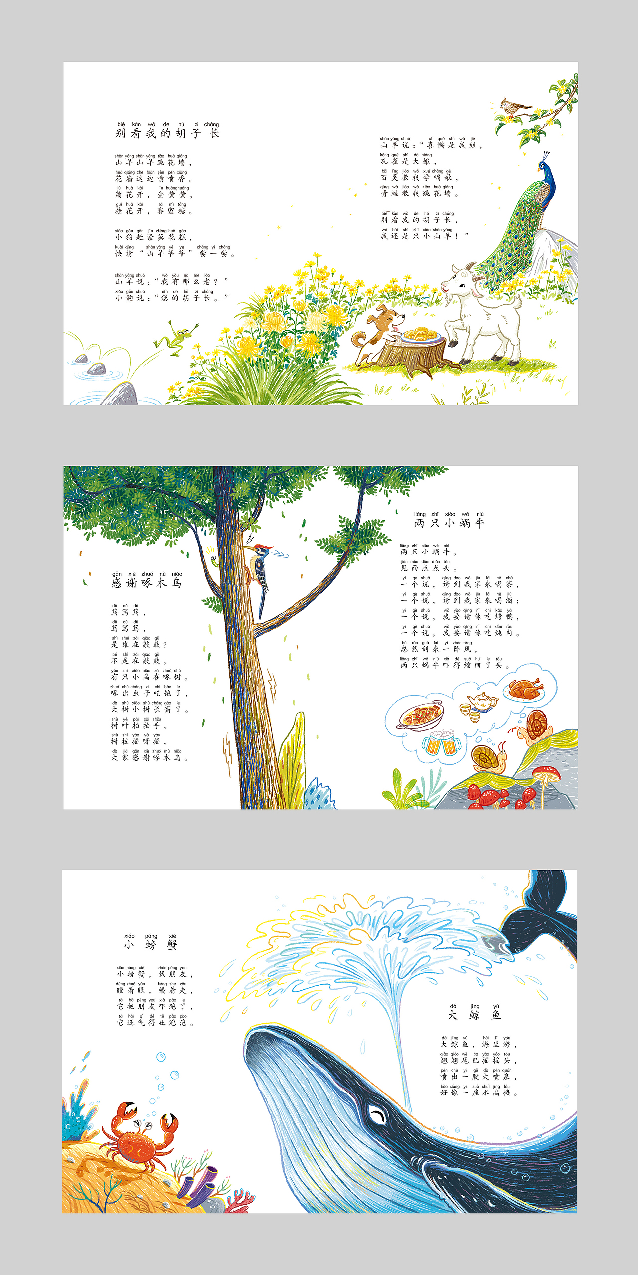 蝴蝶蝴蝶你找谁