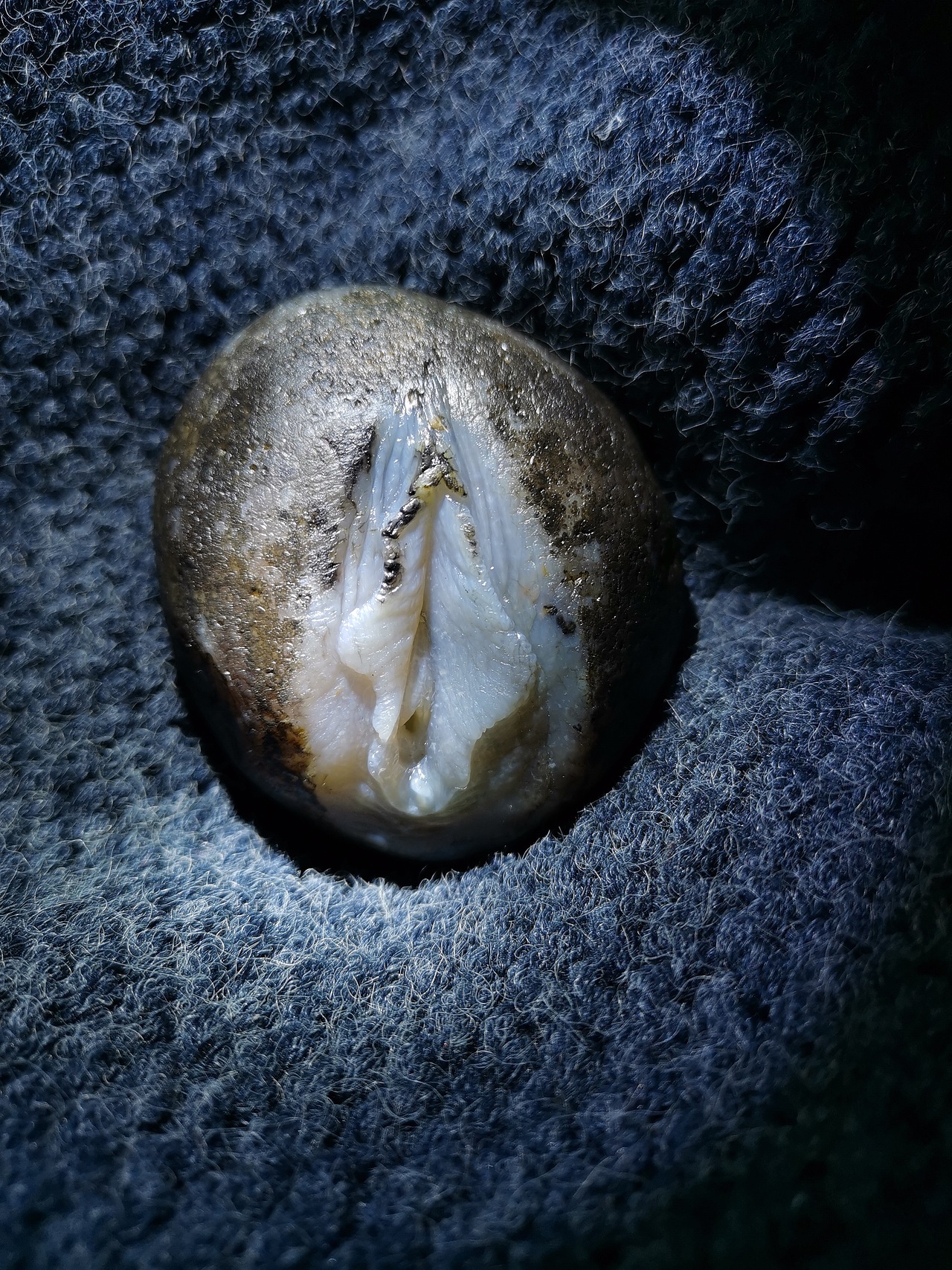 玛瑙生命之源女人花俏色巧雕写实玉雕设计象原玉雕作品