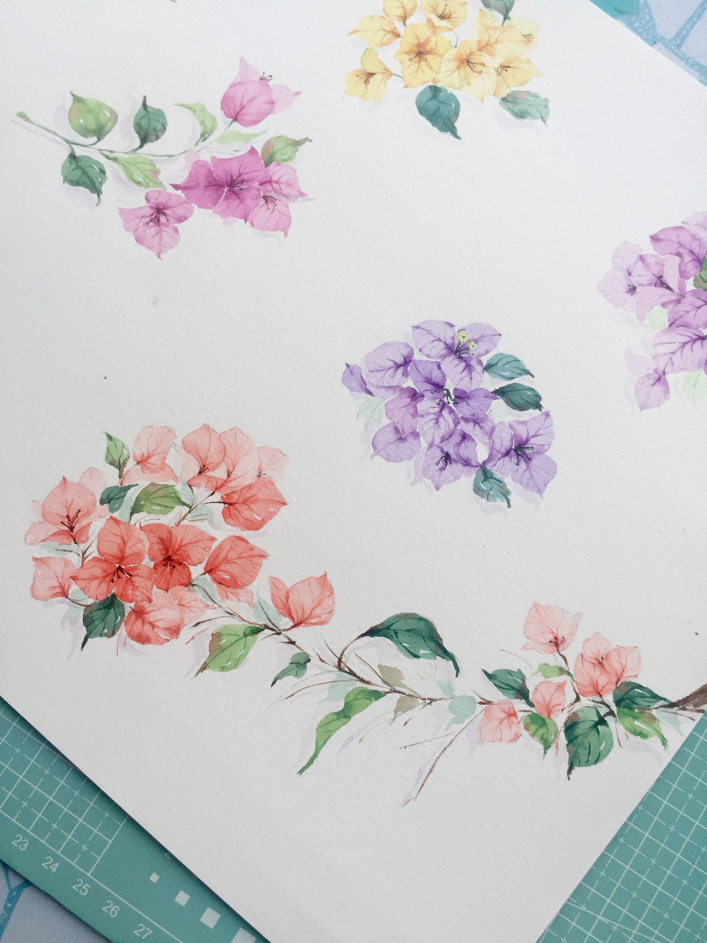 水彩花卉|纯艺术|绘画|鹿芩水彩 - 原创作品 - 站酷 (zcool)