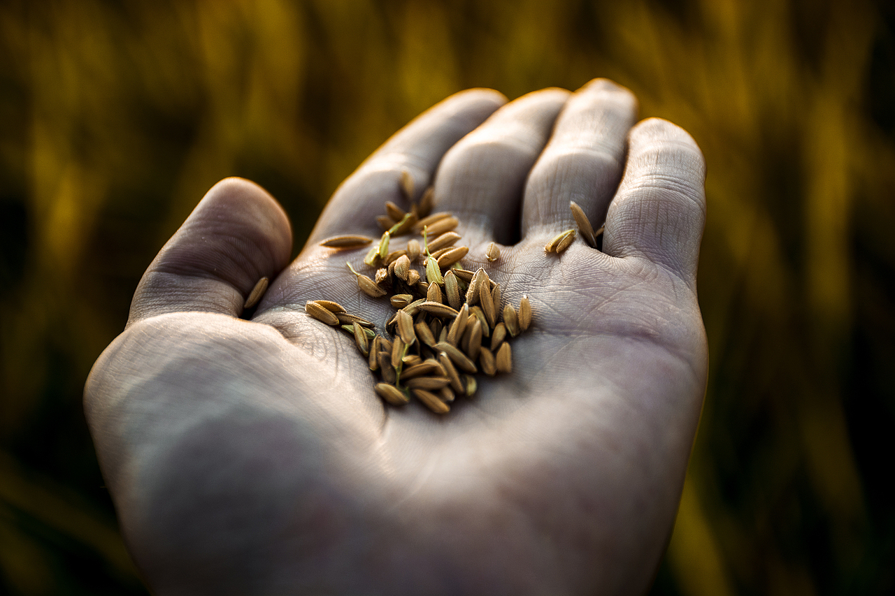 秋分（图ZNjA0NDc5MjQ=） - 风光摄影 - 站酷设计师董董Dgl原创素材 - 站酷ZCOOL