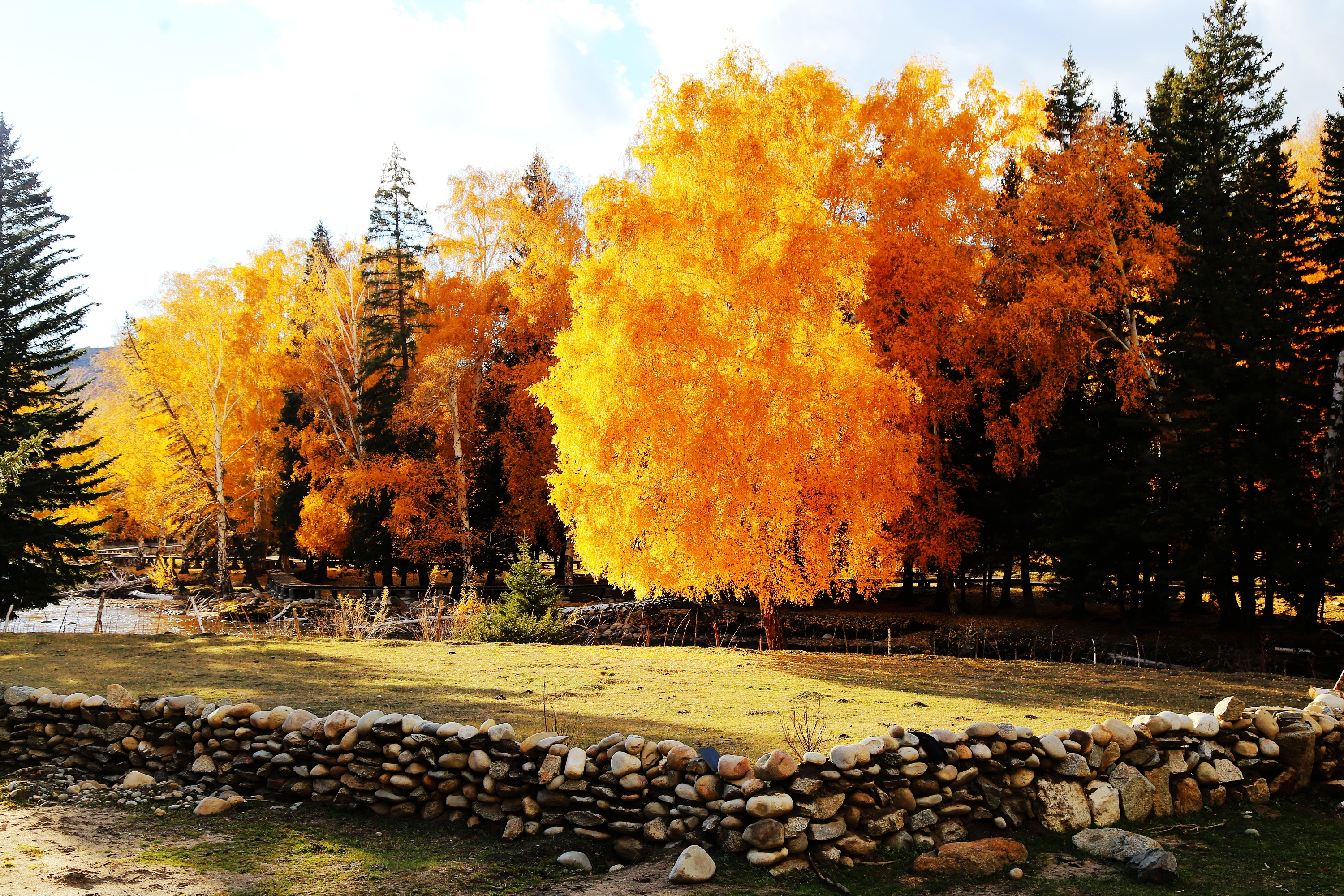 新疆富蕴可可托海秋韵