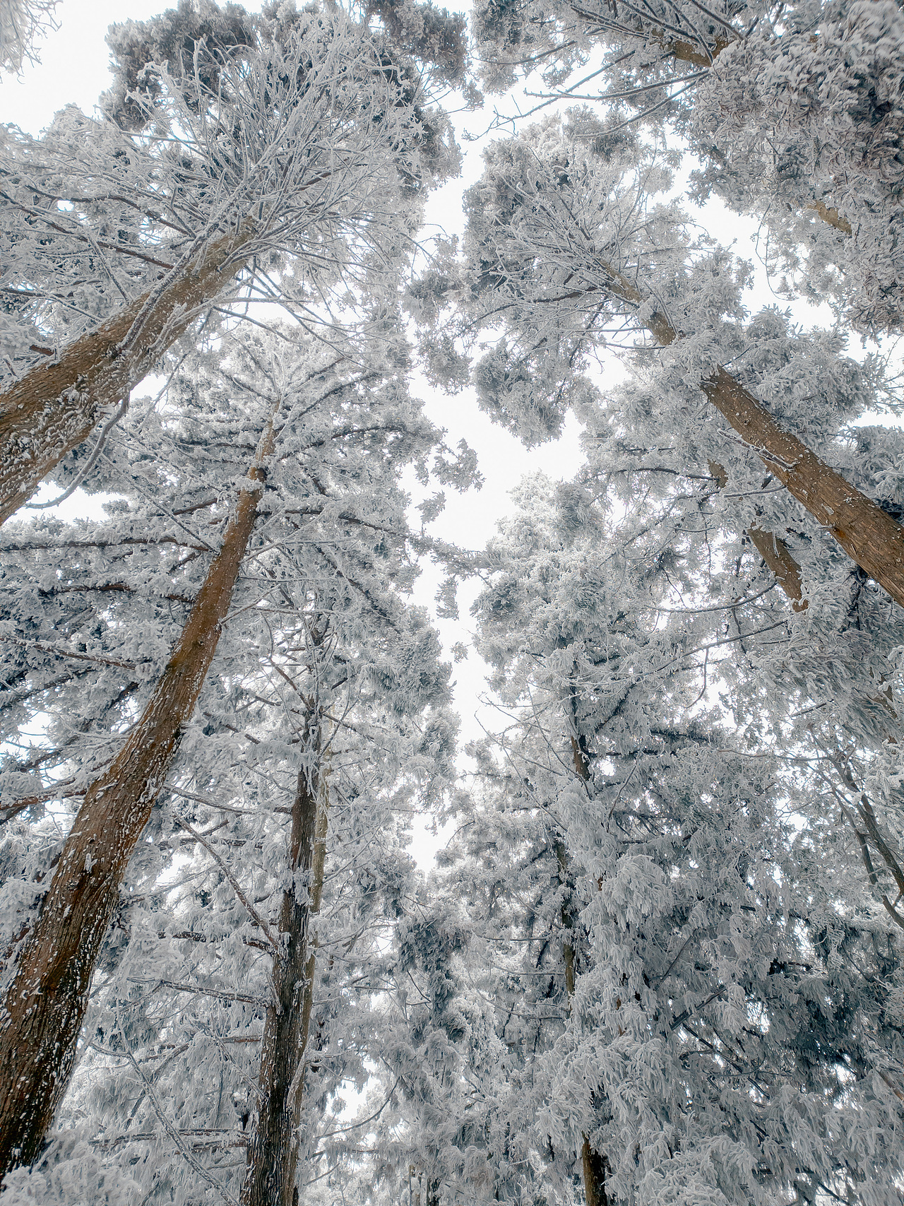 2023庐山航拍,雪山上的小镇庐山牯岭。