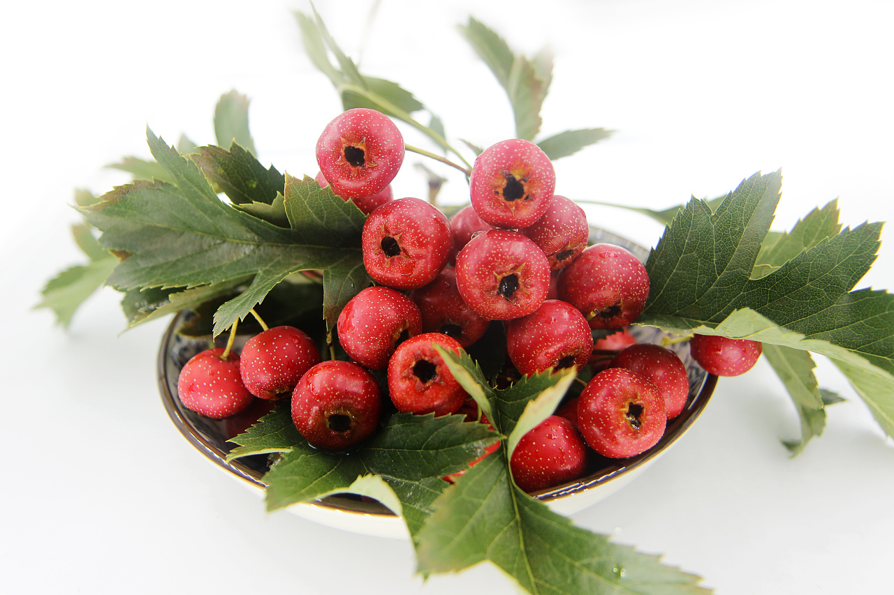 甜红子(新鲜小红星甜山楂拍摄)