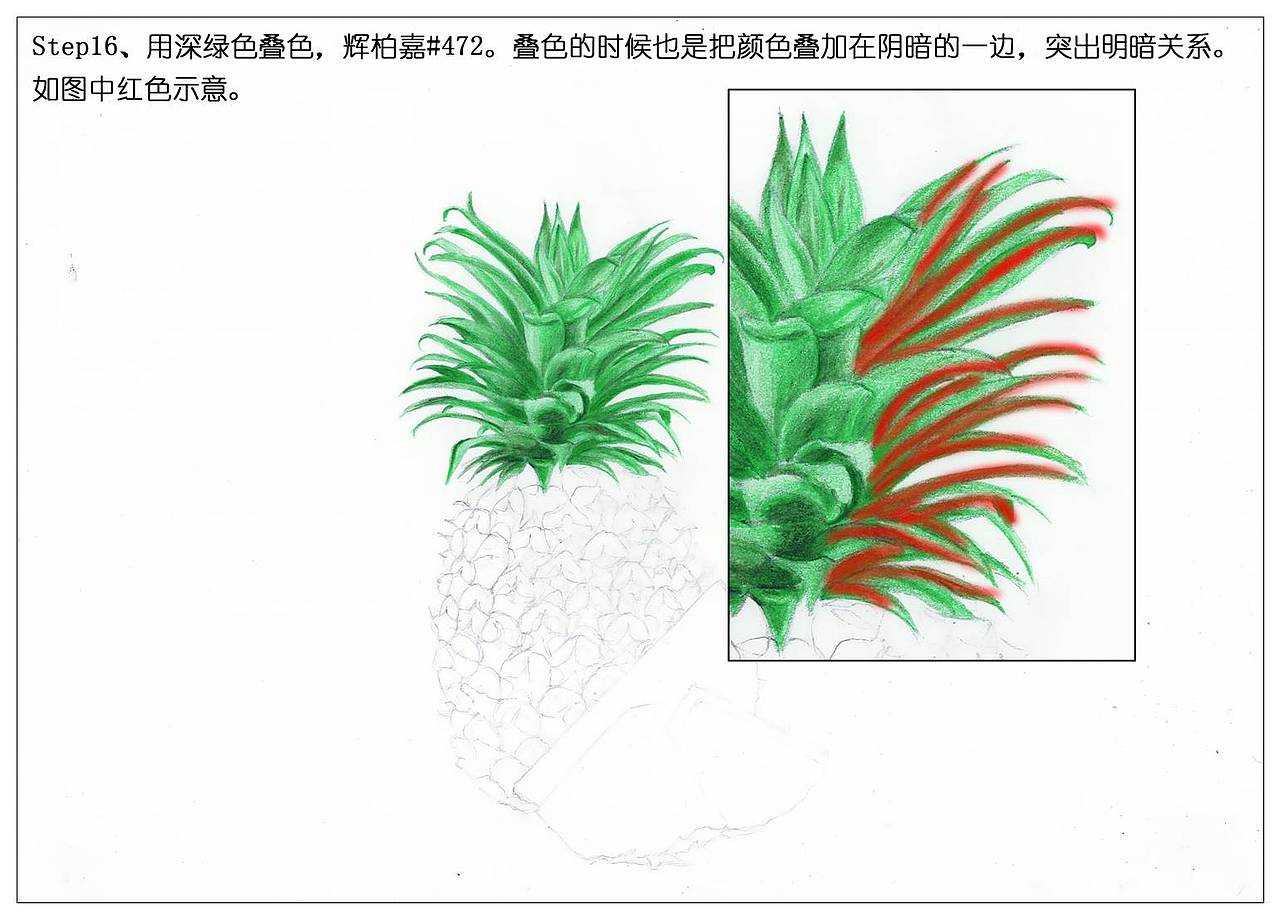 【驴大萌彩铅】手绘24节气水果图鉴 谷雨菠萝