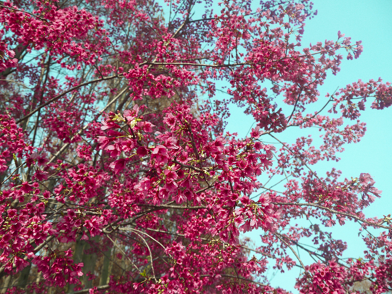 **森林公园**（图ZMTM4NTQxMjA=） - 风光摄影 - 站酷设计师3thslive原创素材 - 站酷ZCOOL