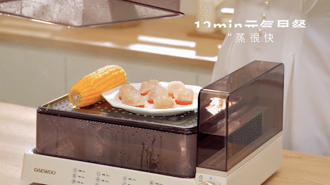 电商视频 | 大宇电蒸箱