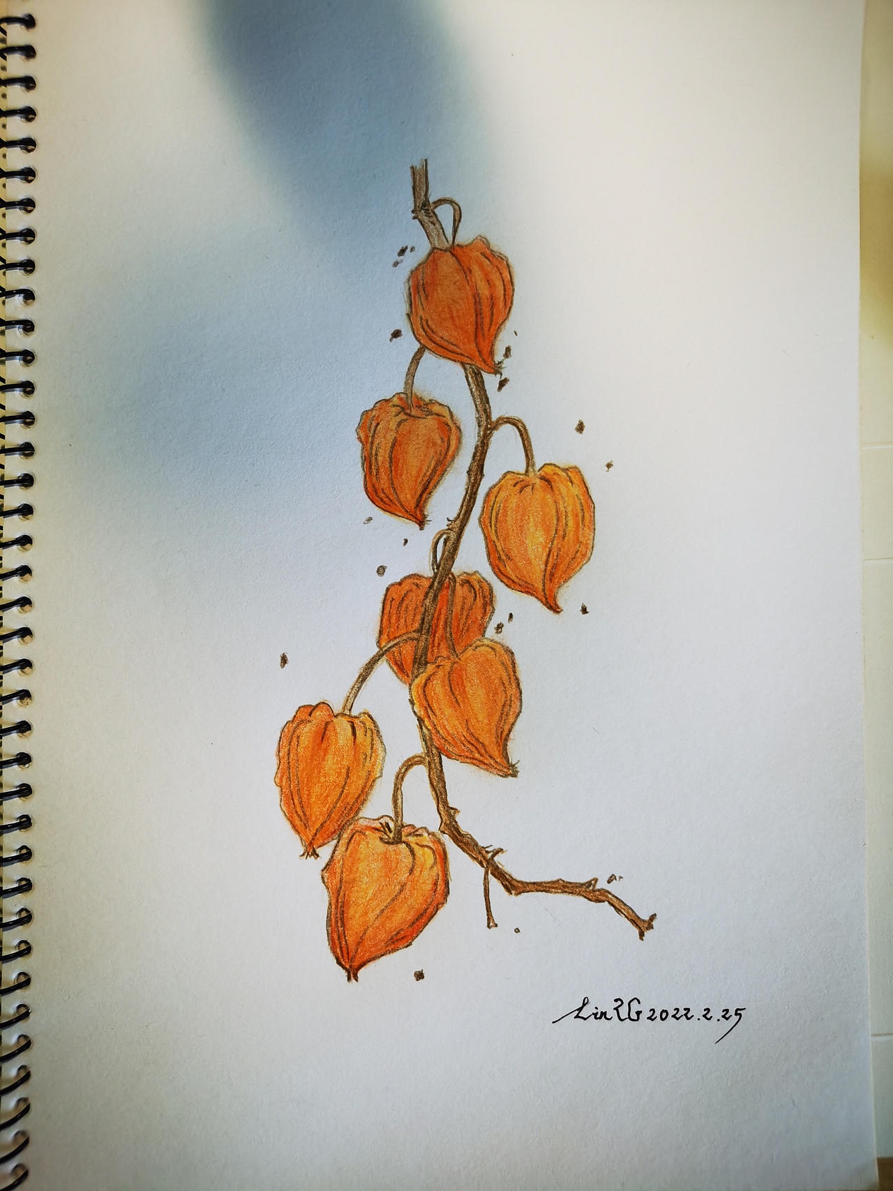 小涂鸦（2）（图ZMjkyMzY3NTc2） - 绘画 - 站酷设计师老树林原创素材 - 站酷ZCOOL