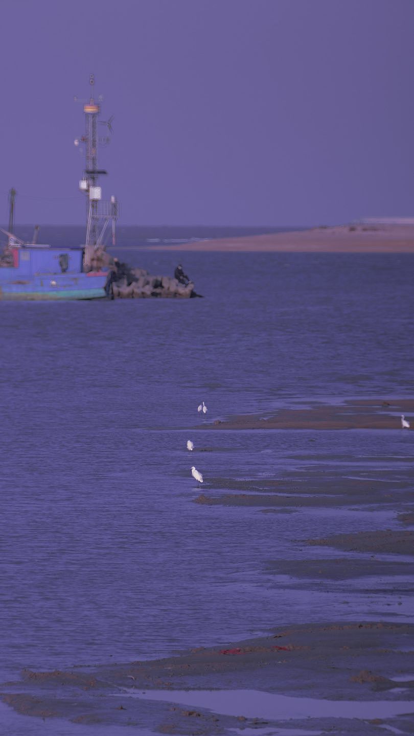 梦.幻‖°——海_鸟~