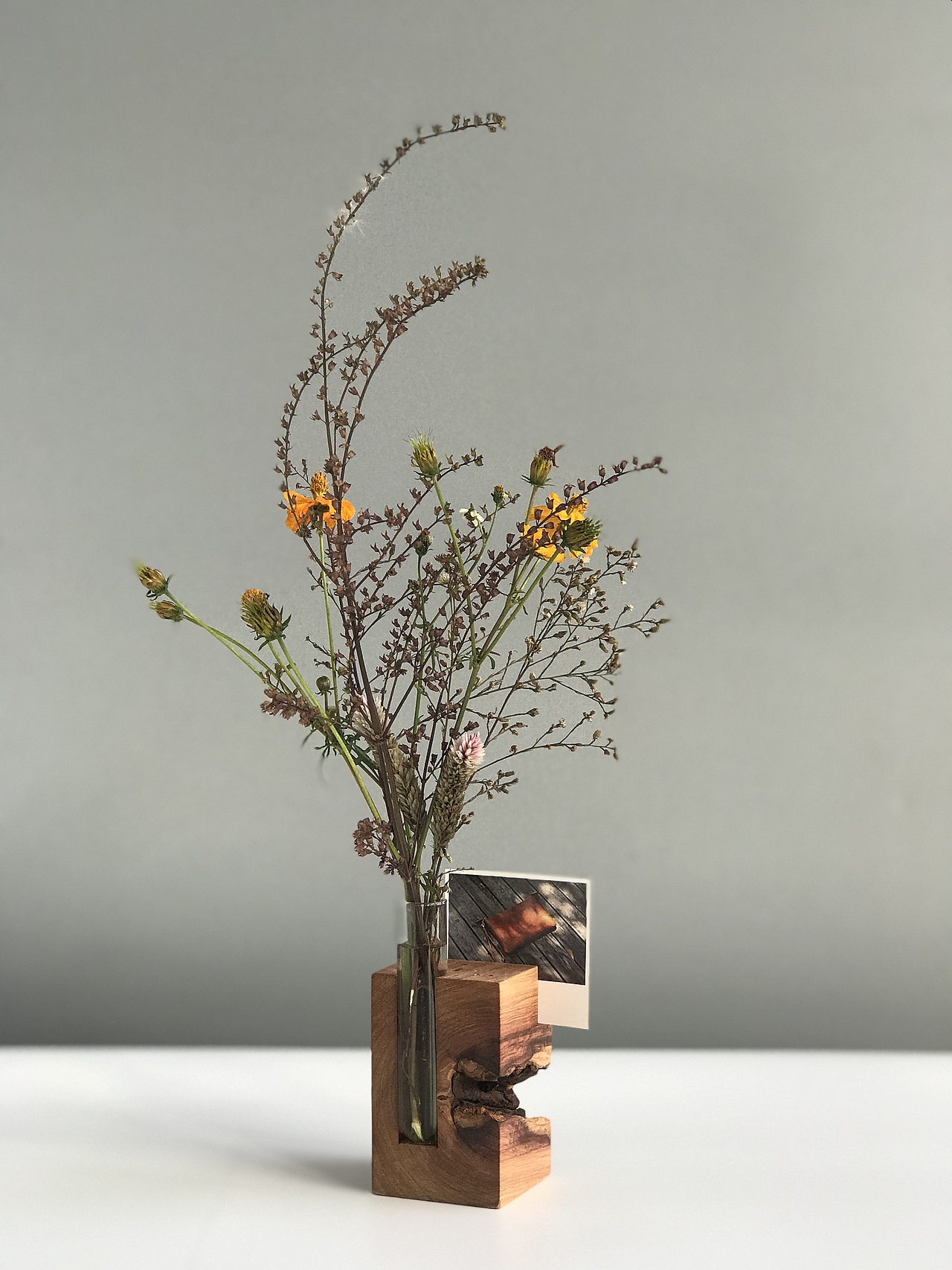 花器 Floral organ（图ZOTg0NTgwMDA=） - 实验艺术 - 站酷设计师谈木集原创素材 - 站酷ZCOOL