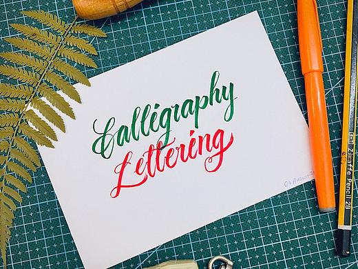 [Calligraphy X Lettering] 手写西文字体30天创意挑战