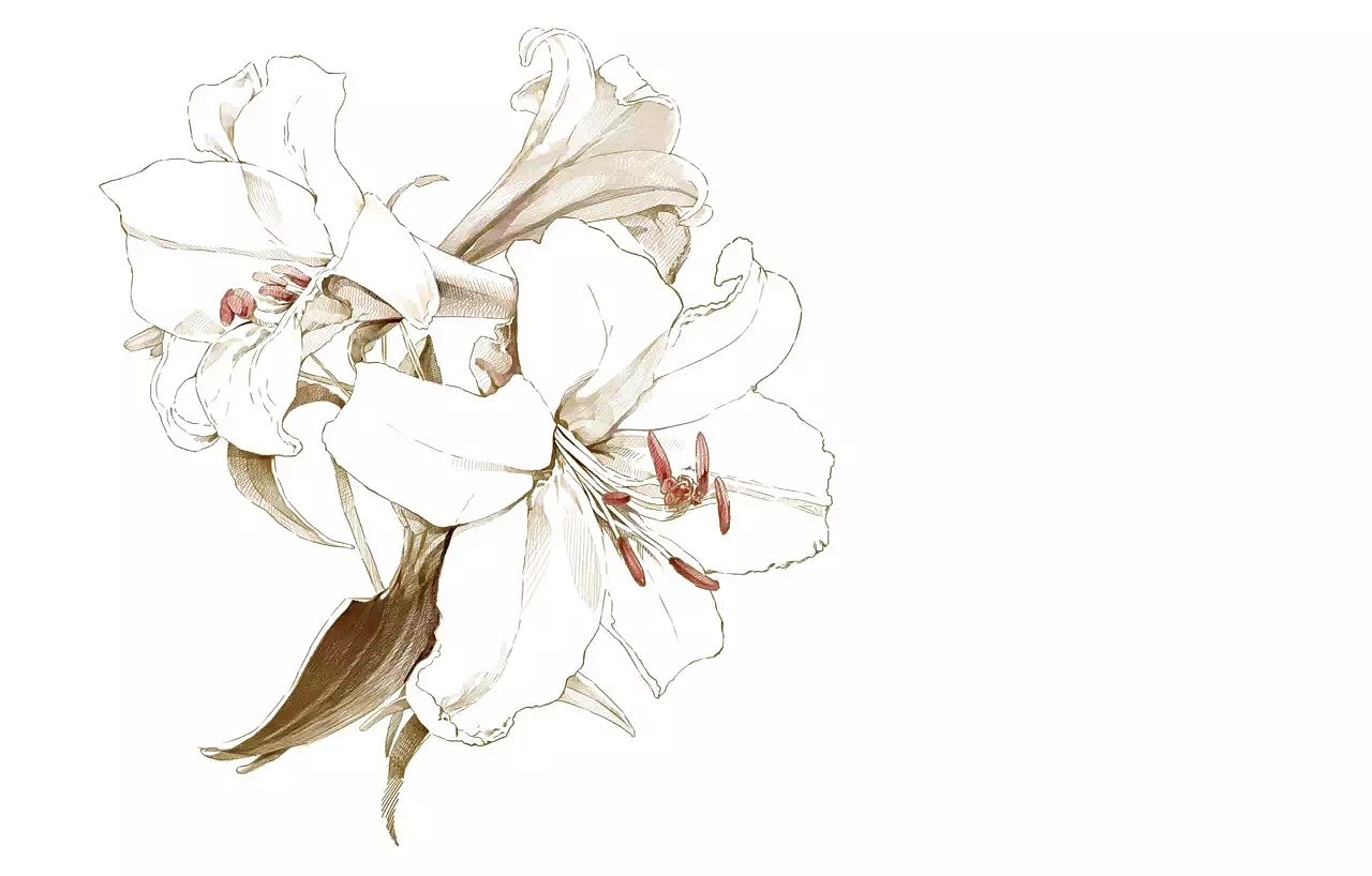 画了一组插画,希望大家喜欢。