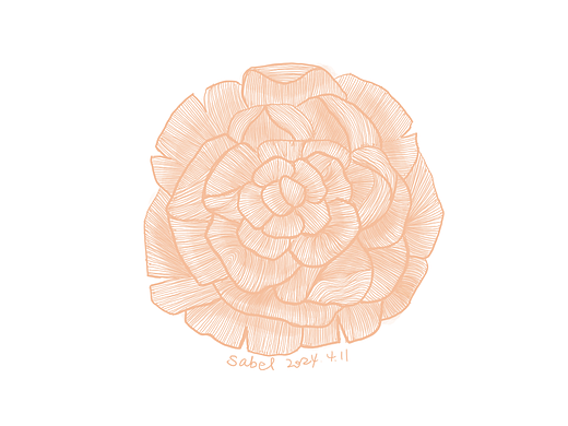 板绘X排线使人快乐系列（个人主页-ZNjgwNjg5NDA=） - 绘画 - 站酷设计师SaBeL13原创素材 - 站酷ZCOOL